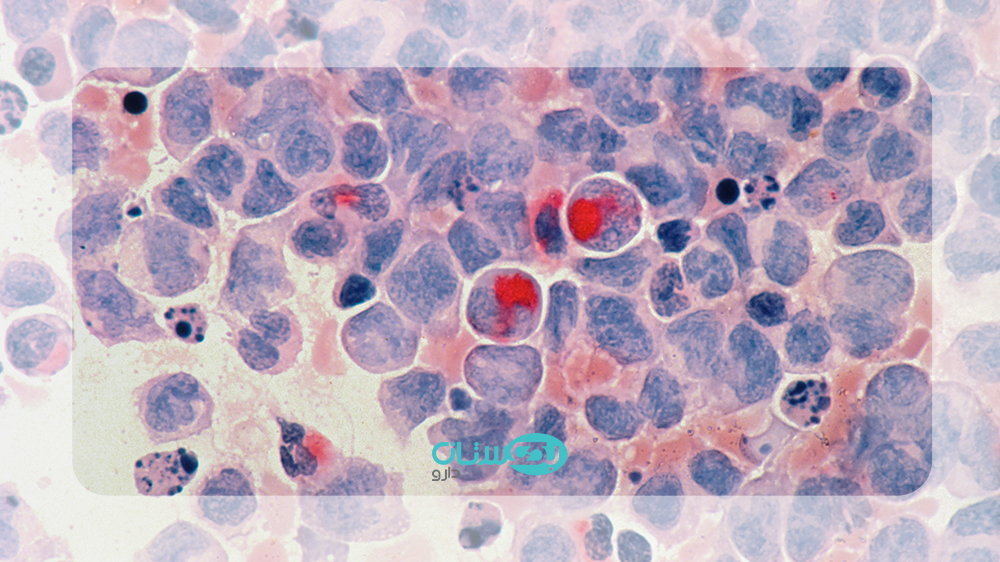 انتقال hpv