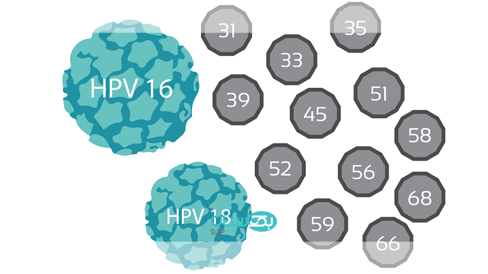 ویروس hpv
